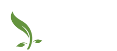 logo SF new